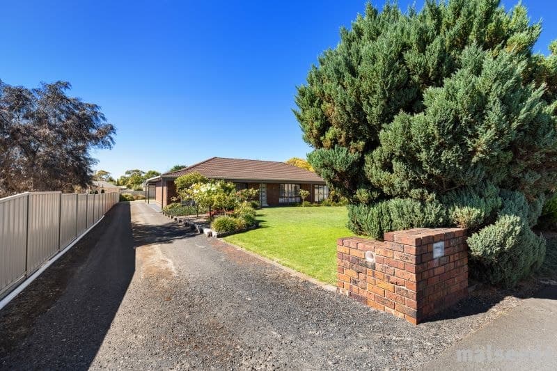 56 Williams Road Millicent SA, Millicent - Thumbnail 4