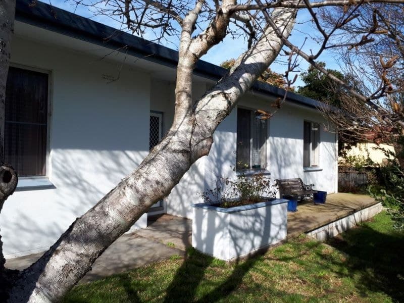 5 McCourt Street Millicent SA, Millicent - Image 1