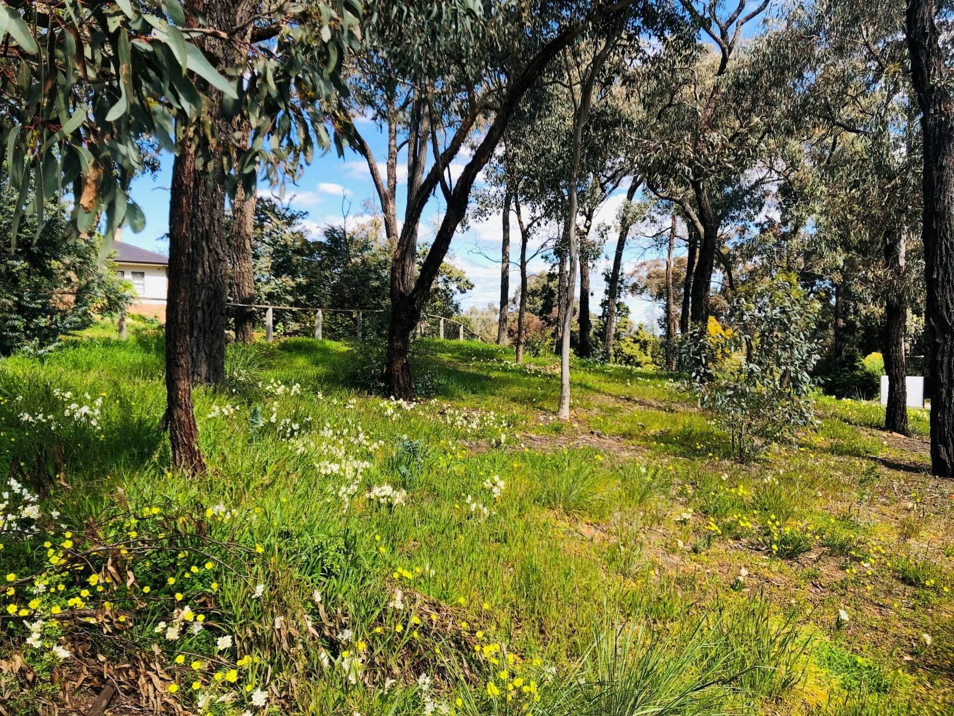 123D Mcivor Rd, East Bendigo, VIC, East Bendigo - Thumbnail 4