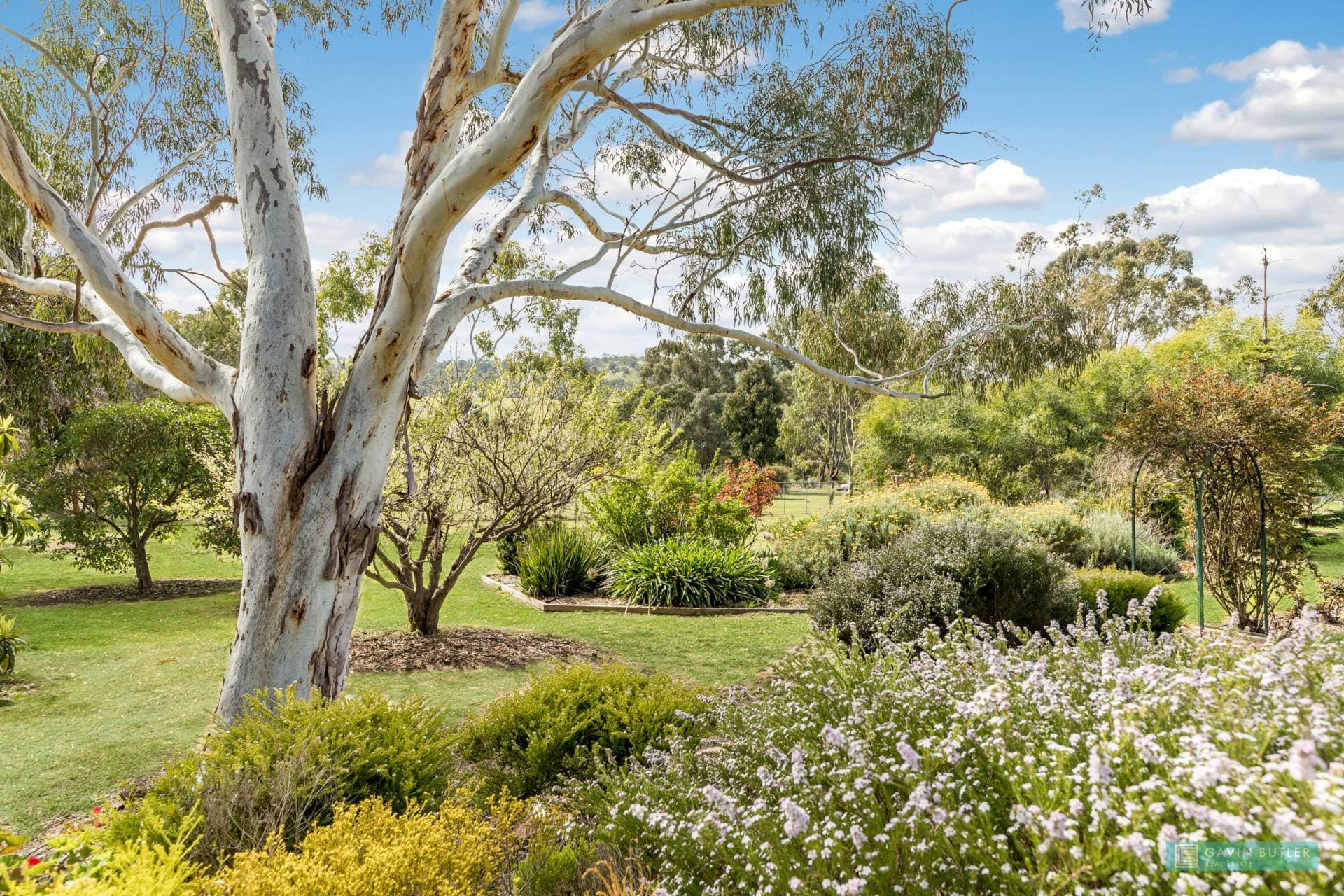70 Belvoir Park Rd, Ravenswood, VIC, Ravenswood - Thumbnail 7