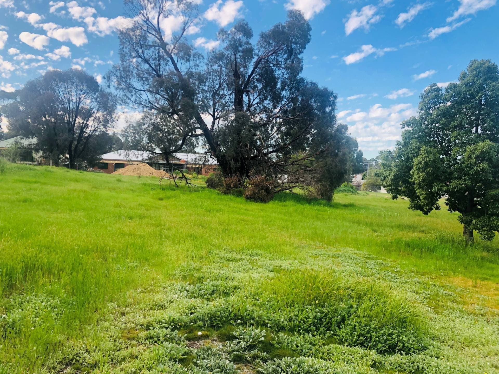 20 Burns St, Axedale, VIC, Axedale - Image 1