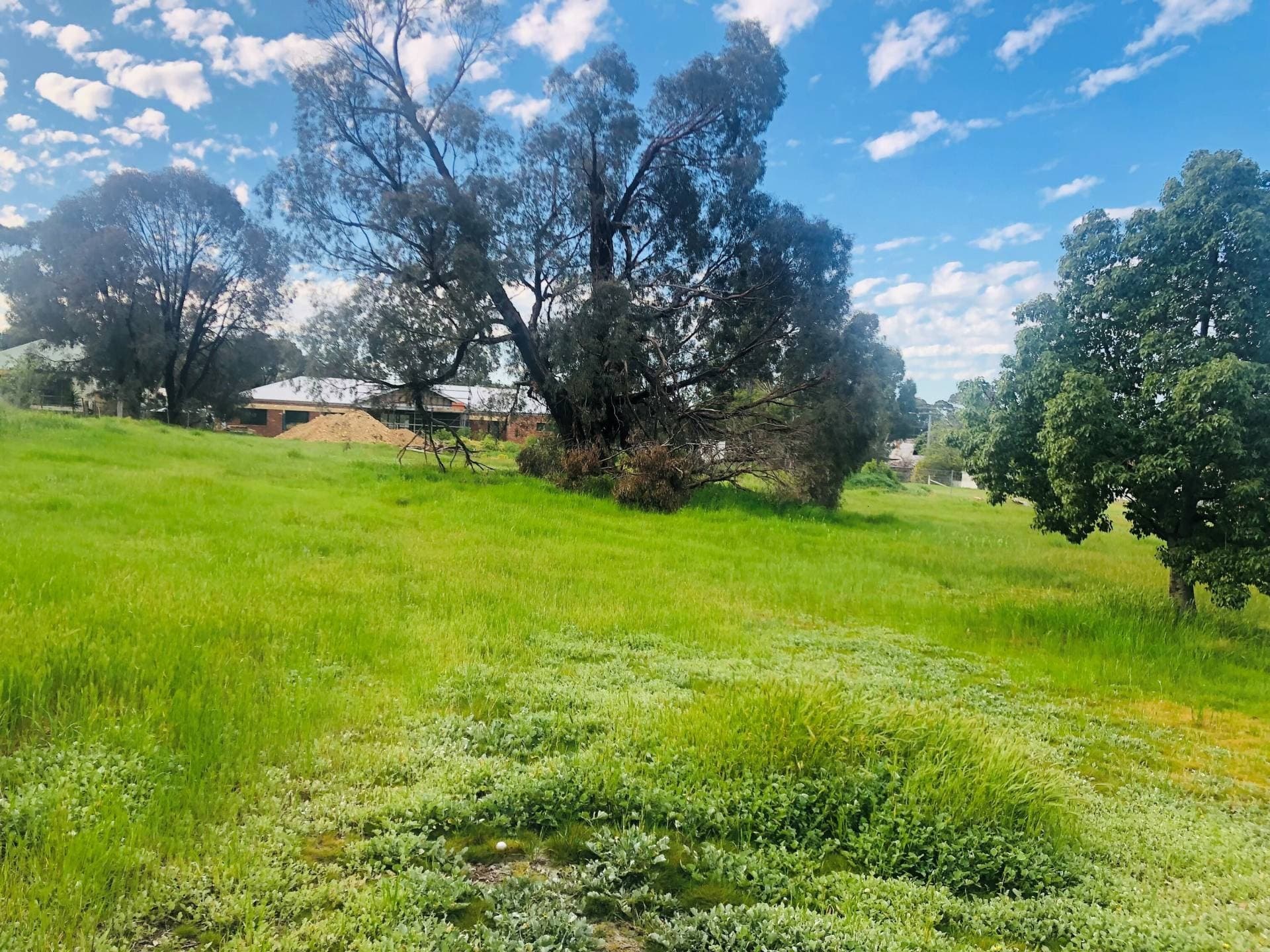 20 Burns St, Axedale, VIC, Axedale - Thumbnail 2