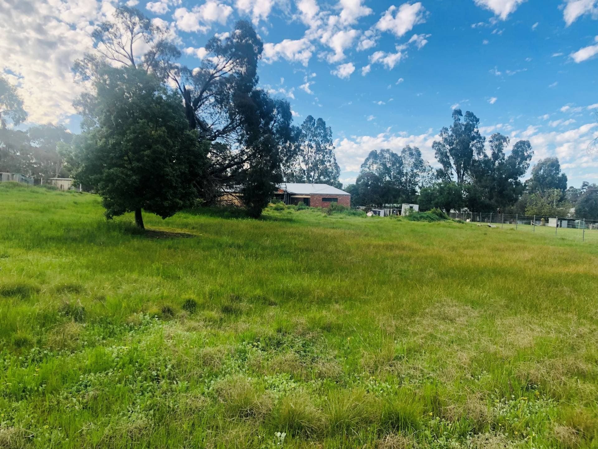 20 Burns St, Axedale, VIC, Axedale - Thumbnail 4
