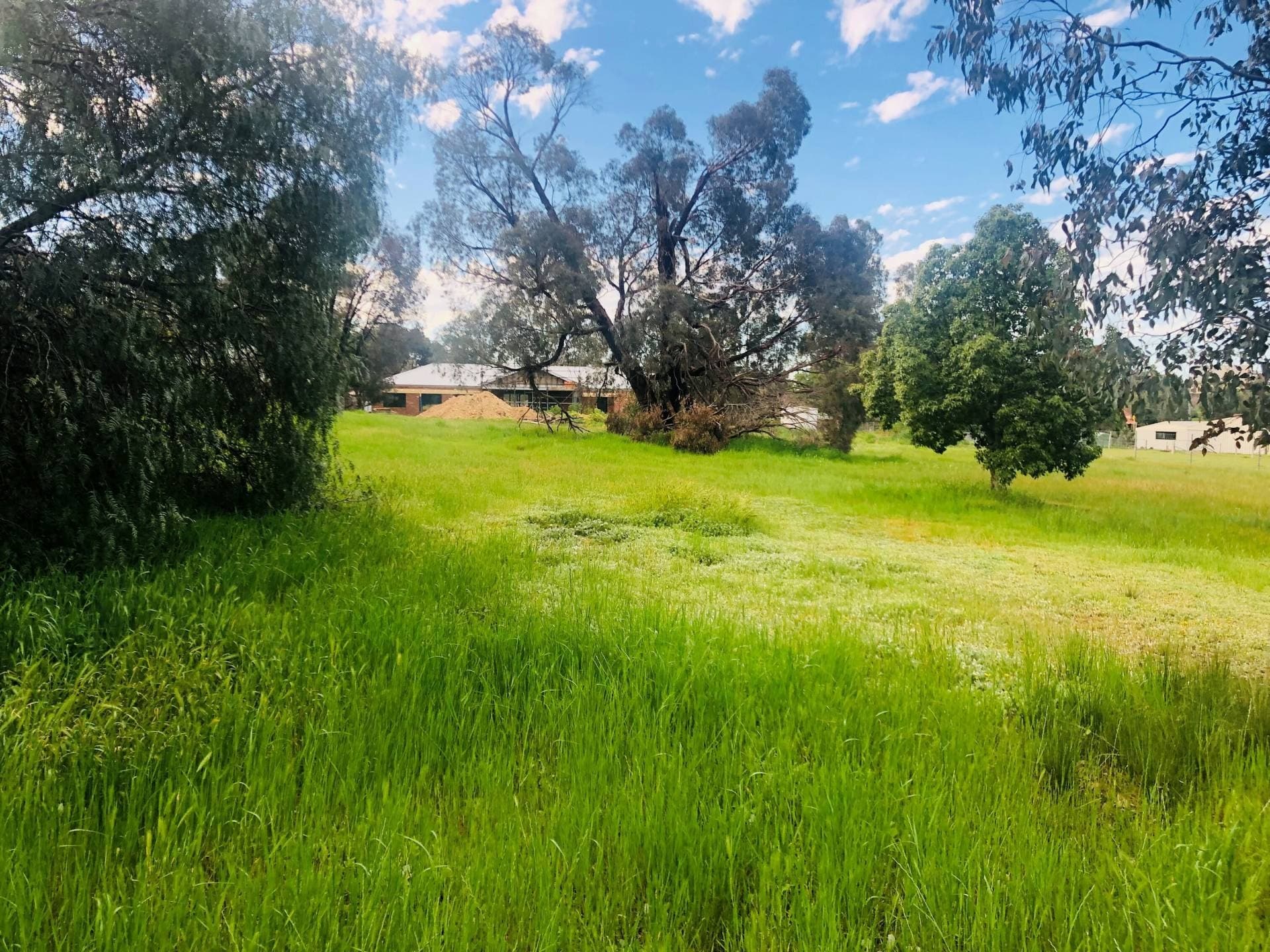 20 Burns St, Axedale, VIC, Axedale - Thumbnail 6