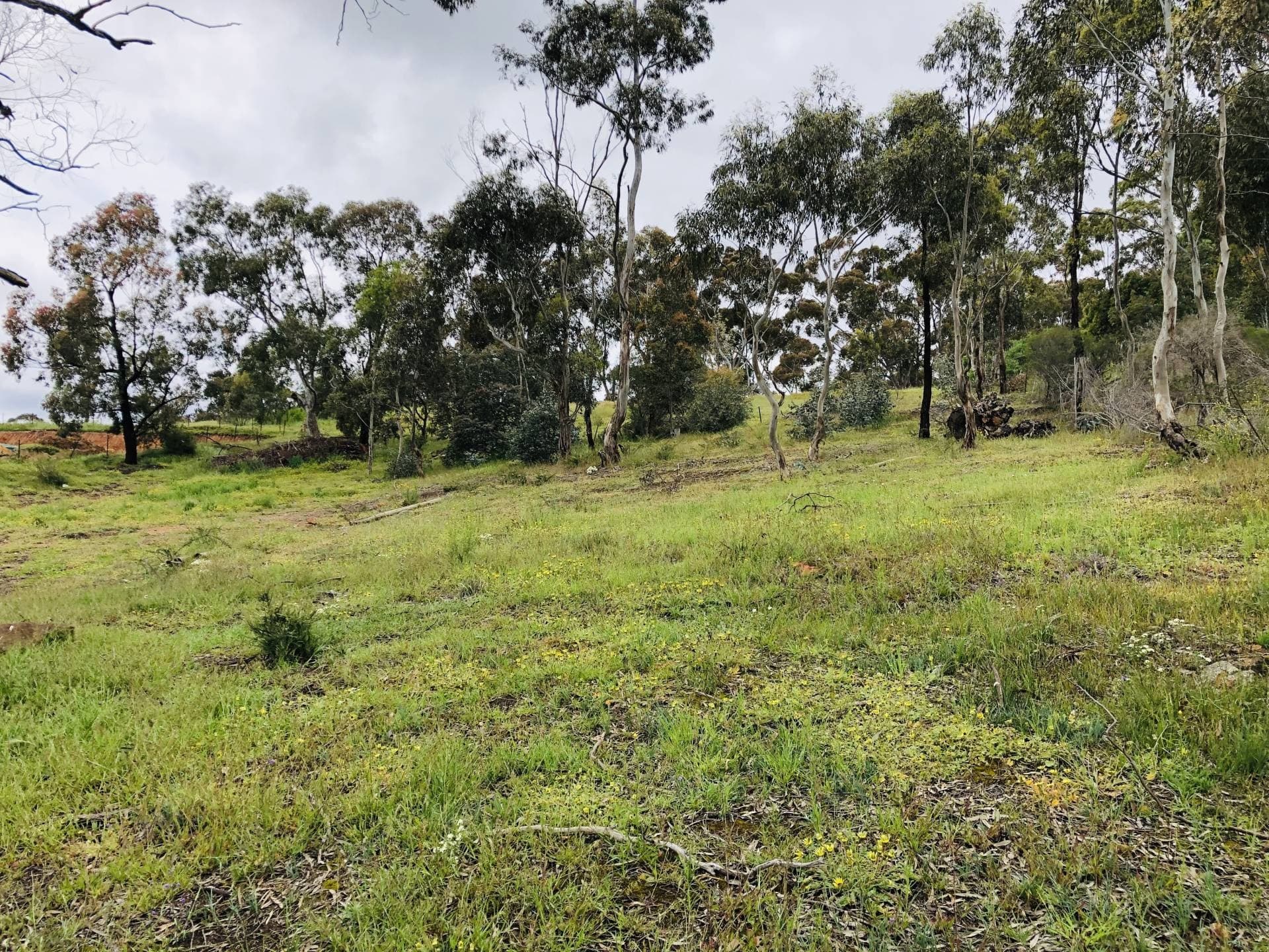 17 - 21 Cross St, Kangaroo Flat, VIC, Kangaroo Flat - Image 1