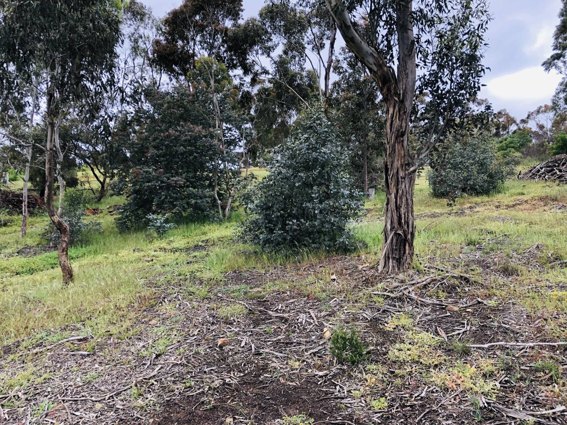 17 - 21 Cross St, Kangaroo Flat, VIC, Kangaroo Flat - Thumbnail 6