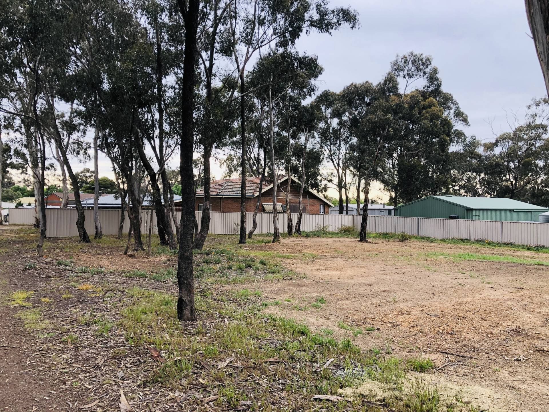 129 St Killian St, White Hills, VIC, White Hills - Thumbnail 2