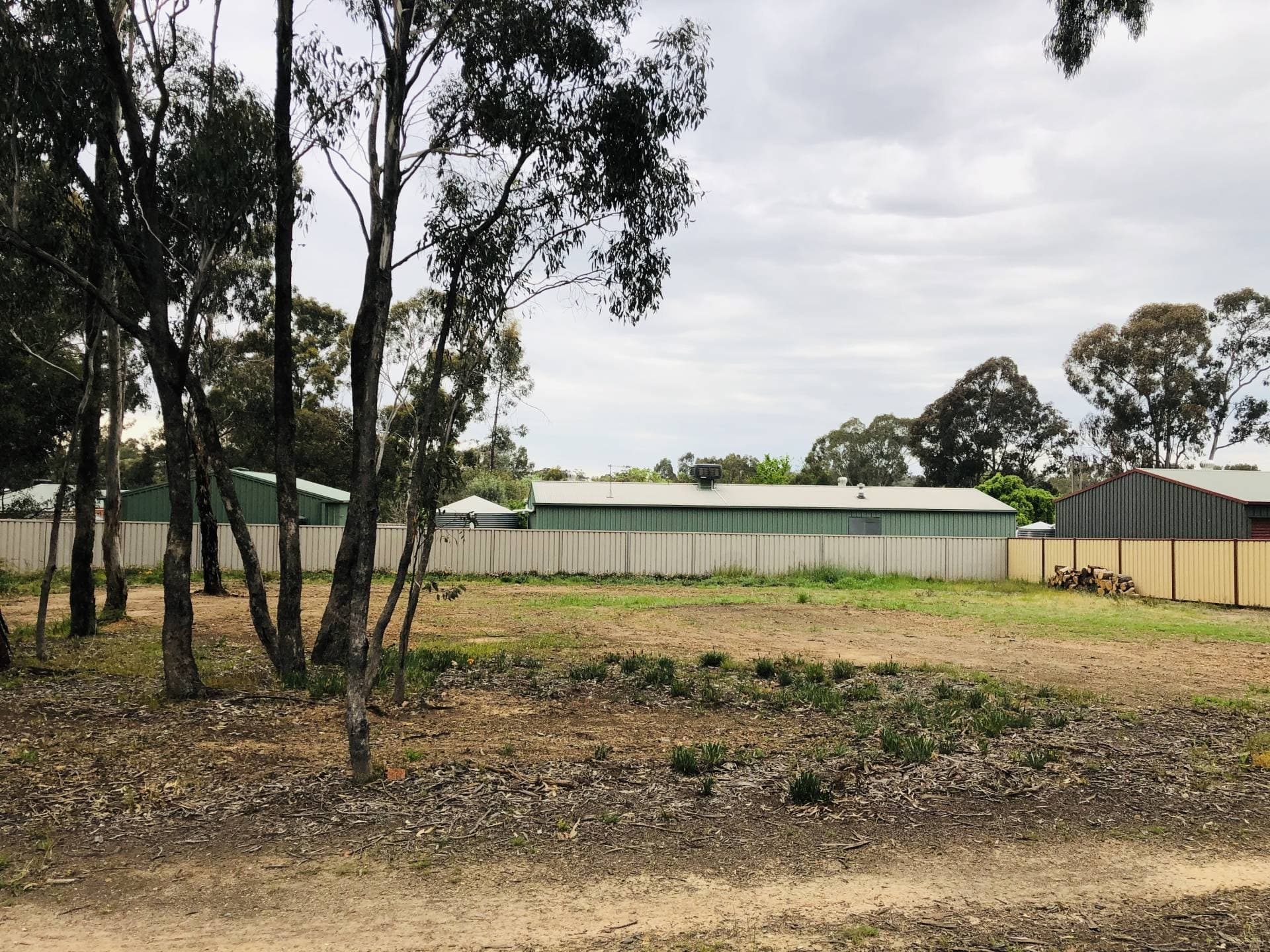 129 St Killian St, White Hills, VIC, White Hills - Thumbnail 4