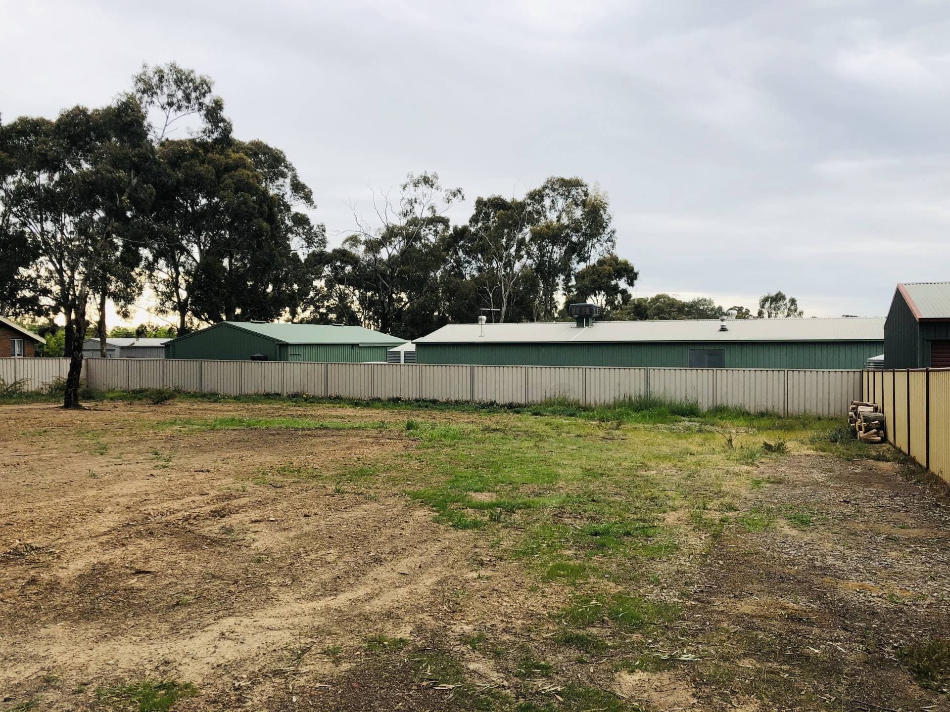 129 St Killian St, White Hills, VIC, White Hills - Thumbnail 6