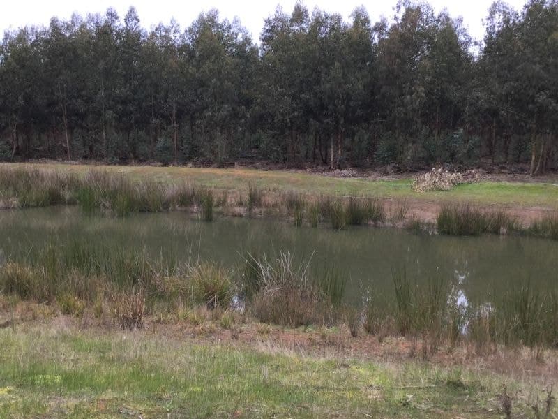Koenigs Road Myamyn VIC, Myamyn - Image 1