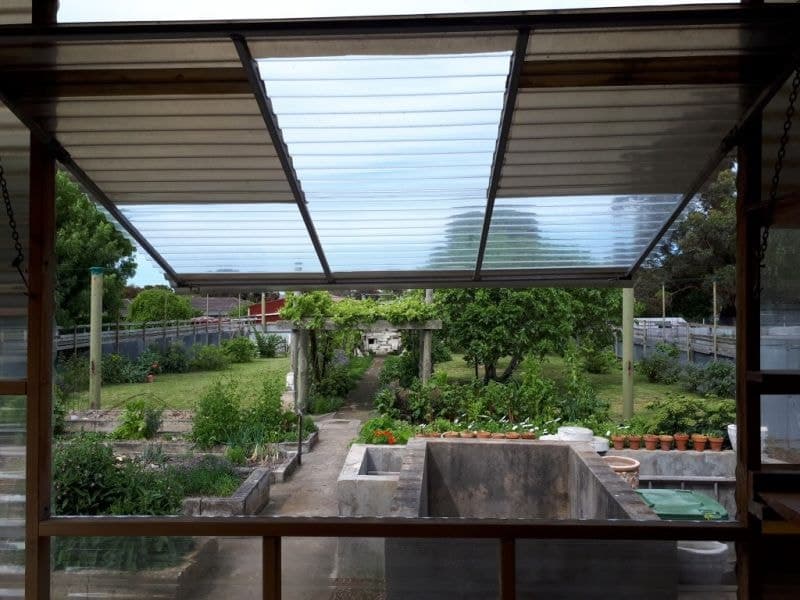 115 Williams Road Millicent SA, Millicent - Thumbnail 4
