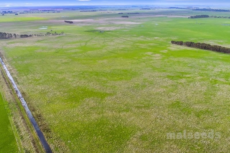 1795 Clay Wells Road Clay Wells SA, Clay Wells - Thumbnail 5