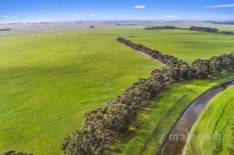1795 Clay Wells Road Clay Wells SA, Clay Wells - Thumbnail 7