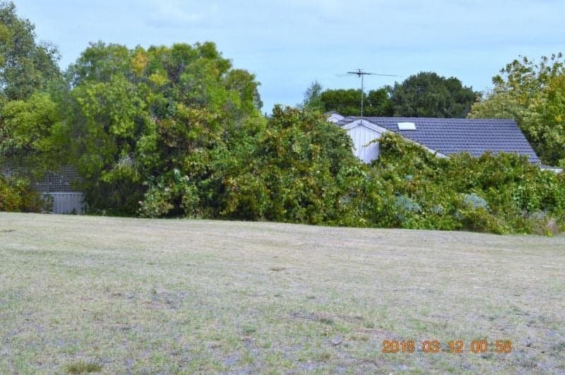 7 Dean Street Millicent SA, Millicent - Image 1