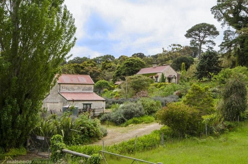 32059 Princes Highway Tantanoola SA, Tantanoola - Thumbnail 3