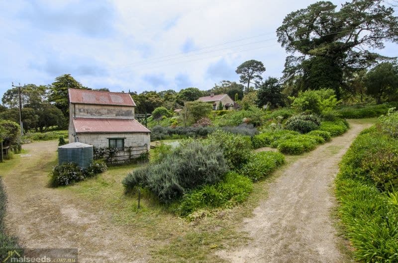 32059 Princes Highway Tantanoola SA, Tantanoola - Thumbnail 5