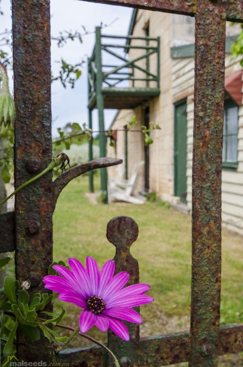 32059 Princes Highway Tantanoola SA, Tantanoola - Thumbnail 6
