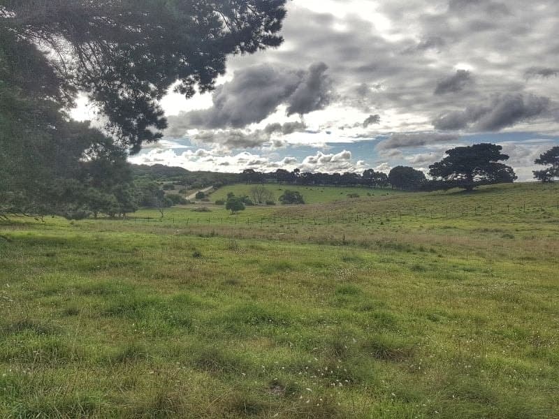 16 Hunts Road Wye SA, Wye - Thumbnail 3