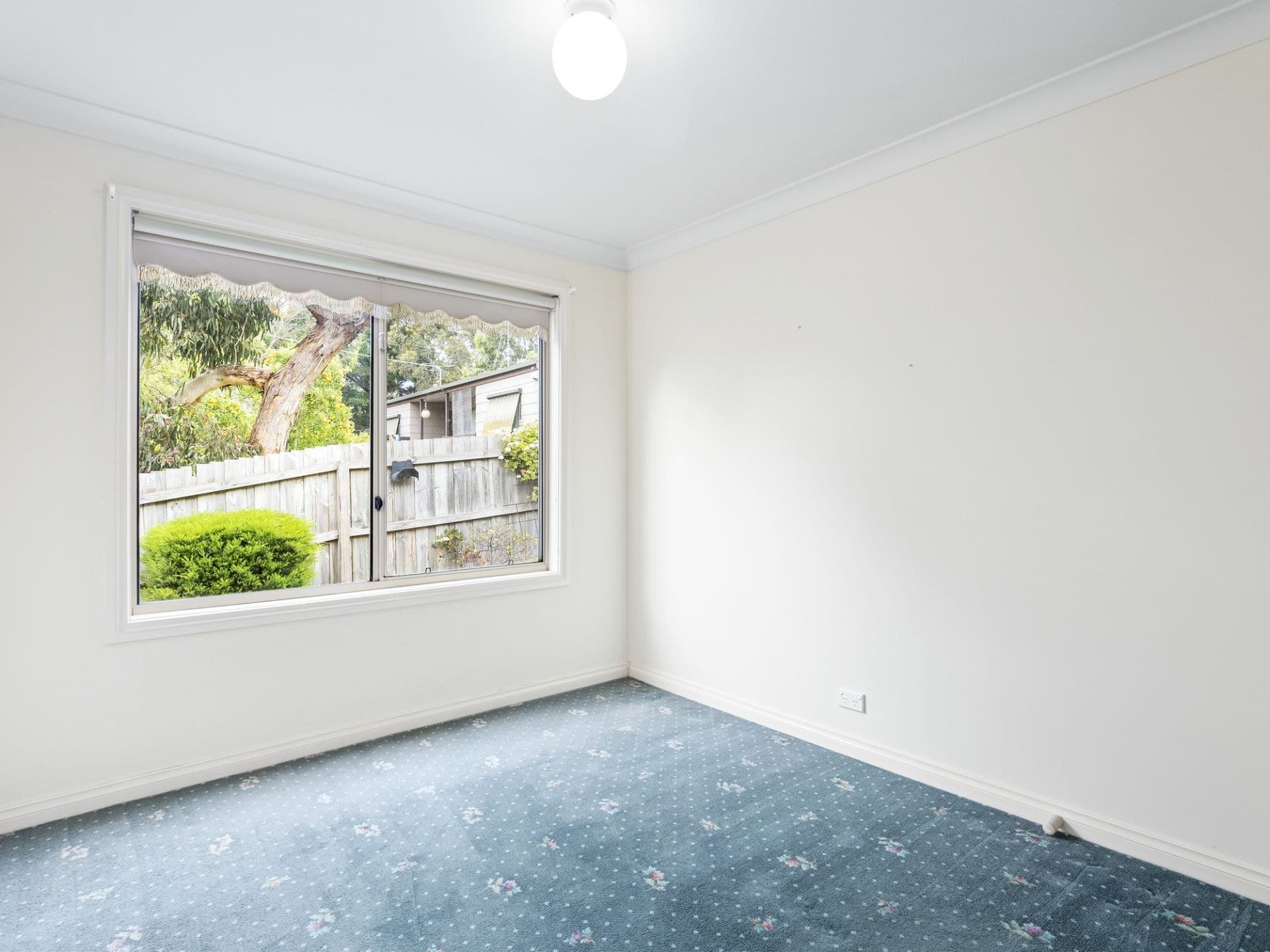 22 Fraser Crescent OCEAN GROVE VIC 3226, Ocean Grove - Thumbnail 8