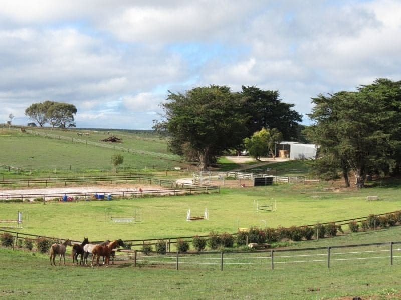 297 Yahl Hall Road Mount Gambier SA, Mount Gambier - Image 1