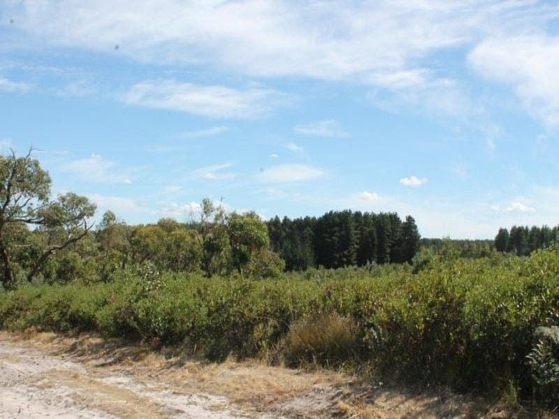 Lot 781 Denton Road Millicent SA, Millicent - Thumbnail 2