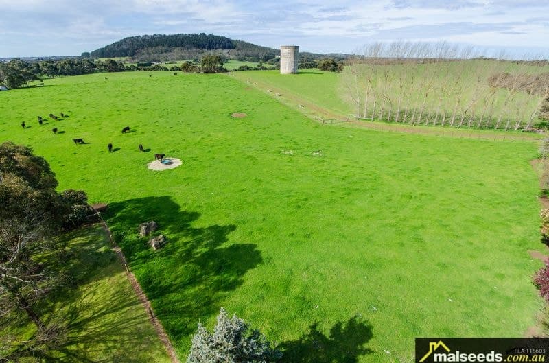 9 Moorak Hall Road Moorak SA, Moorak - Thumbnail 5