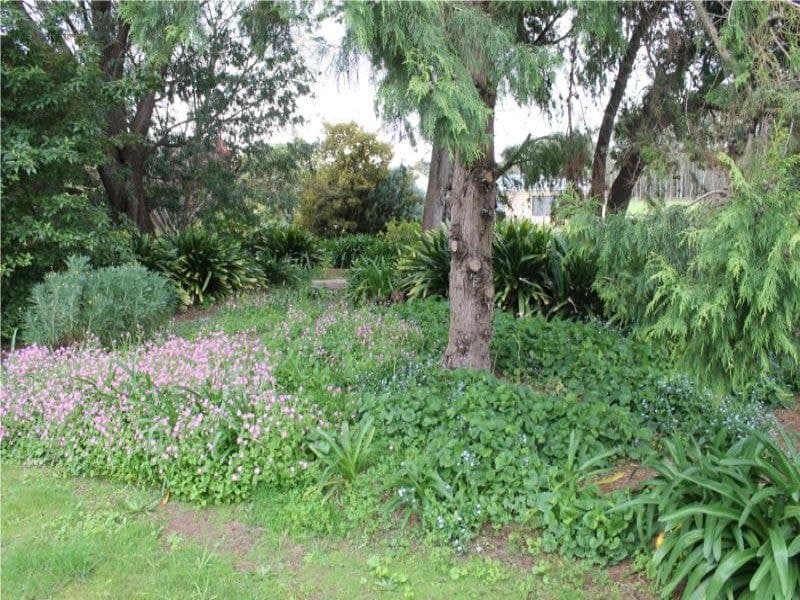 83 Acacia Drive Millicent SA, Millicent - Image 1