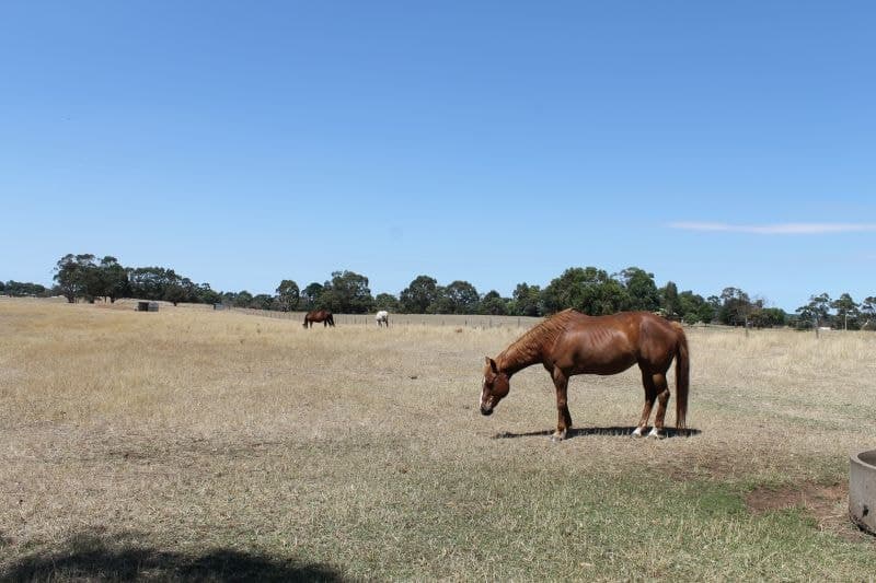 72 Burston Road Glencoe SA, Glencoe - Thumbnail 8