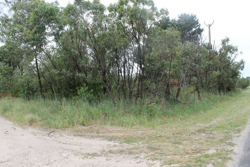 51 Hakea Drive Millicent SA, Millicent - Thumbnail 3