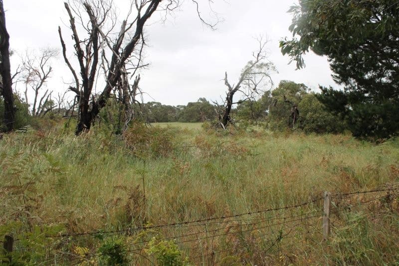 51 Hakea Drive Millicent SA, Millicent - Thumbnail 4