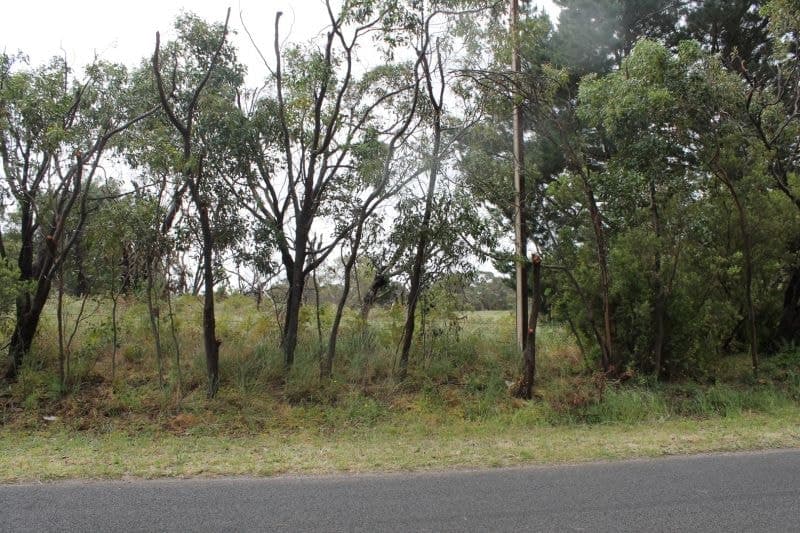 51 Hakea Drive Millicent SA, Millicent - Thumbnail 5