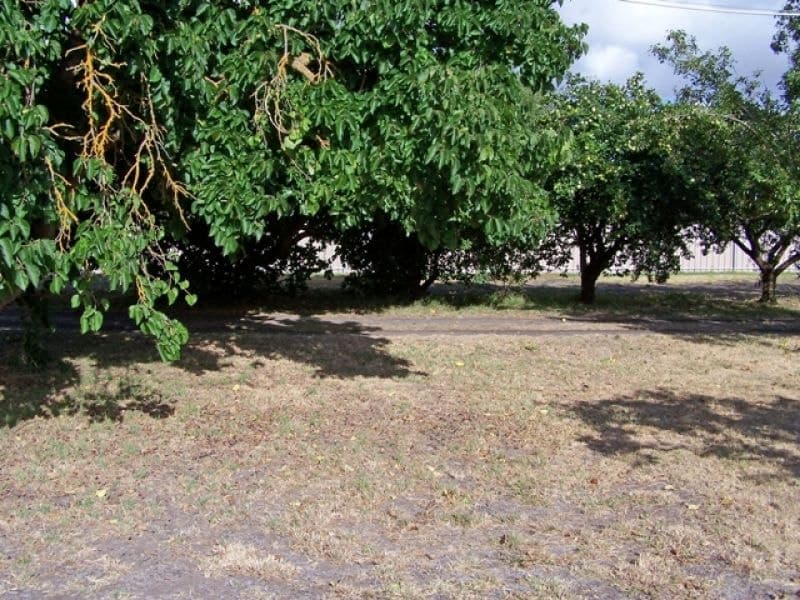 11646 Southern Ports Highway Millicent SA, Millicent - Thumbnail 2