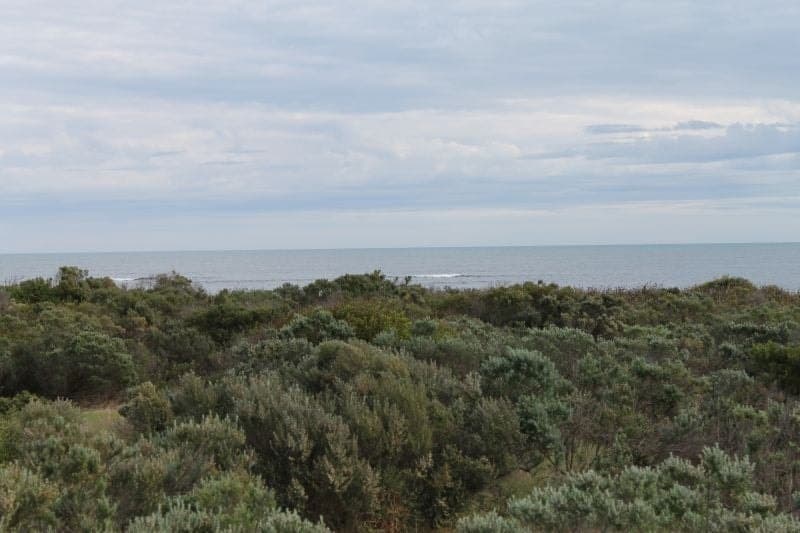 487 Longbottom Lane Mount Benson SA, Mount Benson - Thumbnail 3