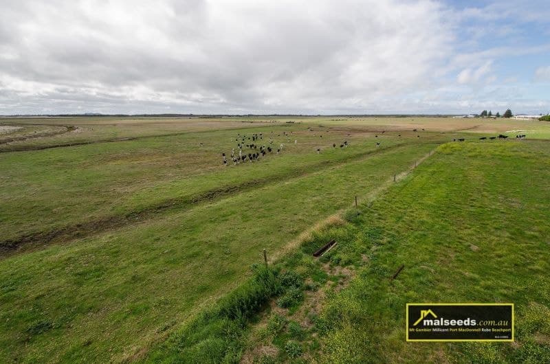 Pascoe Road Port Macdonnell SA, Port Macdonnell - Thumbnail 7