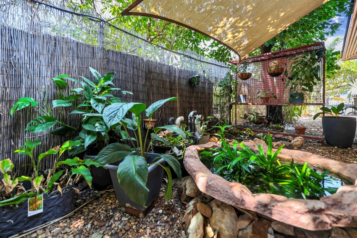 Renovated Territory Dream with Pool, Shed & Solar + Battery, Shed & Solar + Battery - Image 1