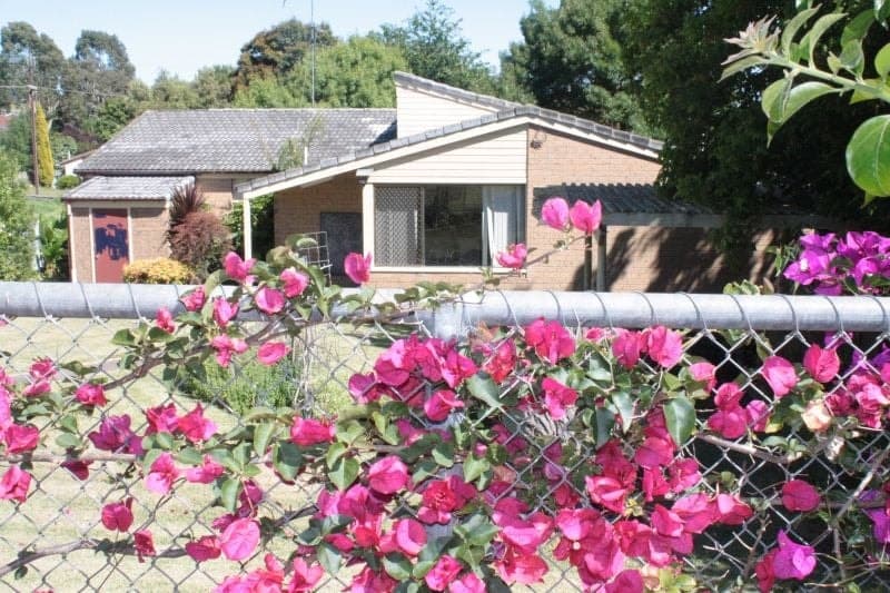 29 Stafford Street Mount Gambier SA, Mount Gambier - Image 1