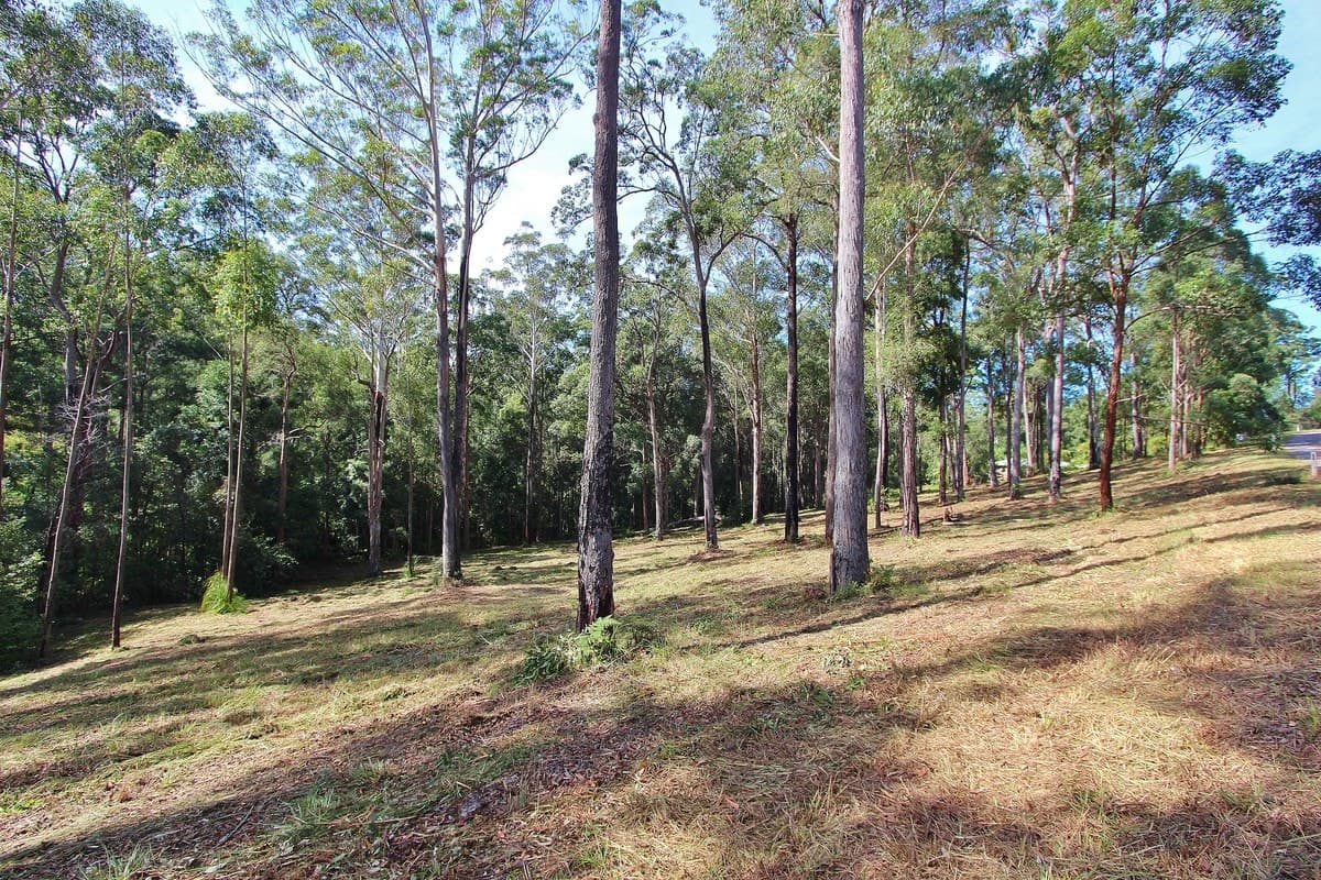 22 Lake Ridge Drive, Kew, Kew - Thumbnail 2