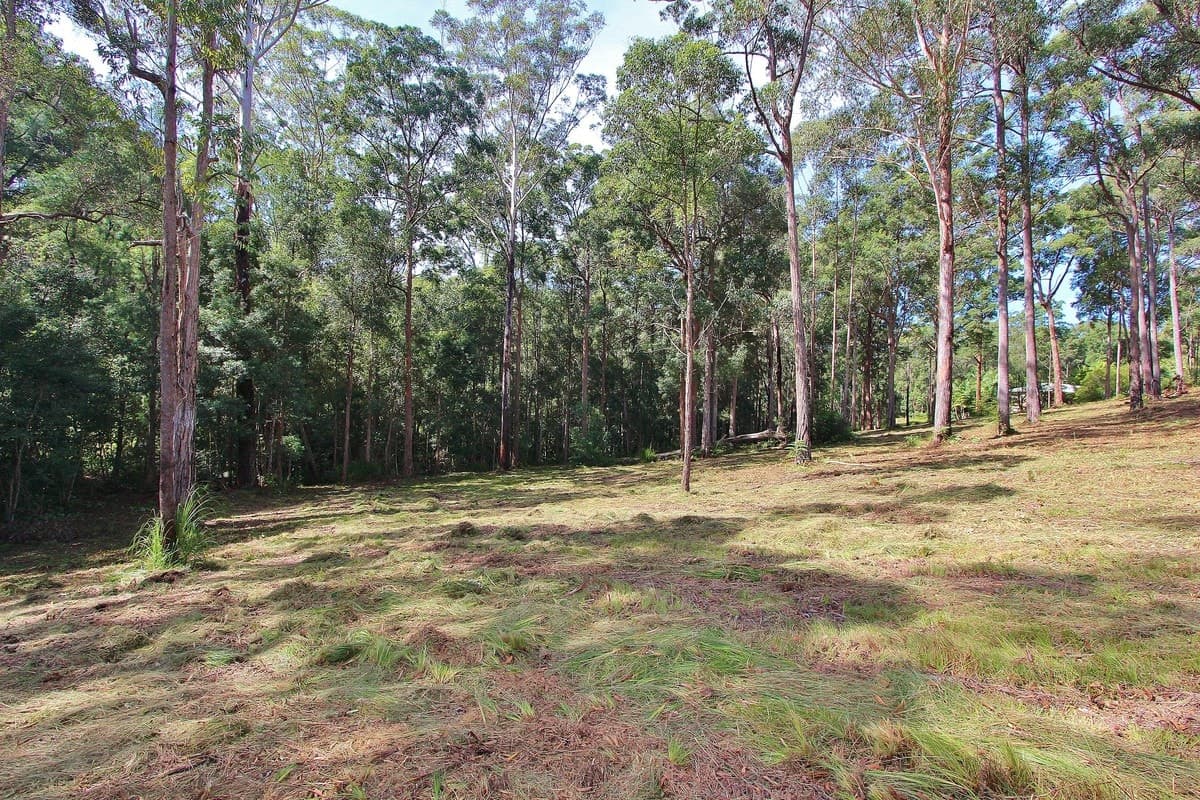 22 Lake Ridge Drive, Kew, Kew - Thumbnail 4
