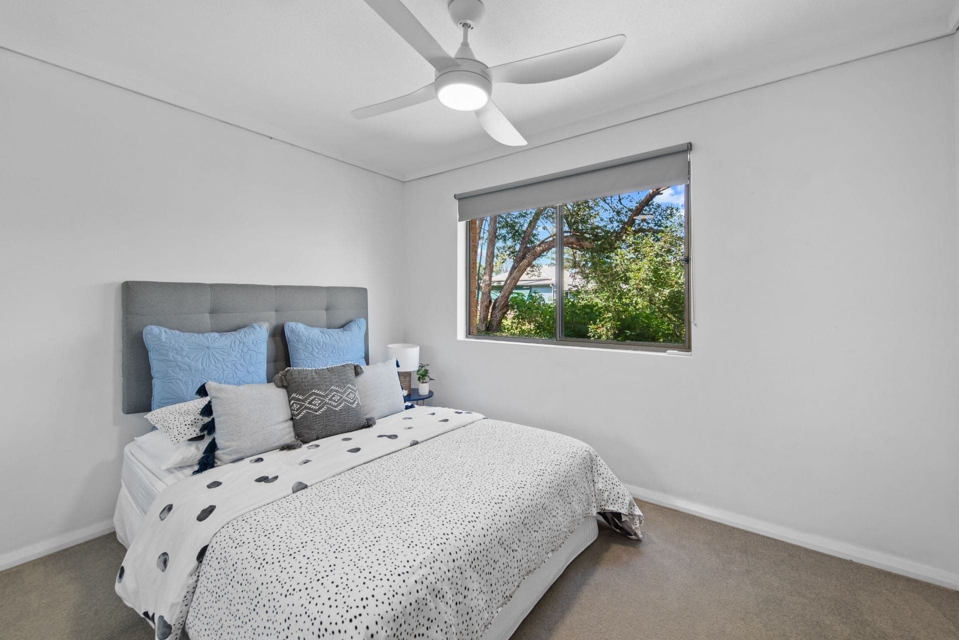 4/113 Pacific Drive Port Macquarie NSW, Port Macquarie - Thumbnail 6