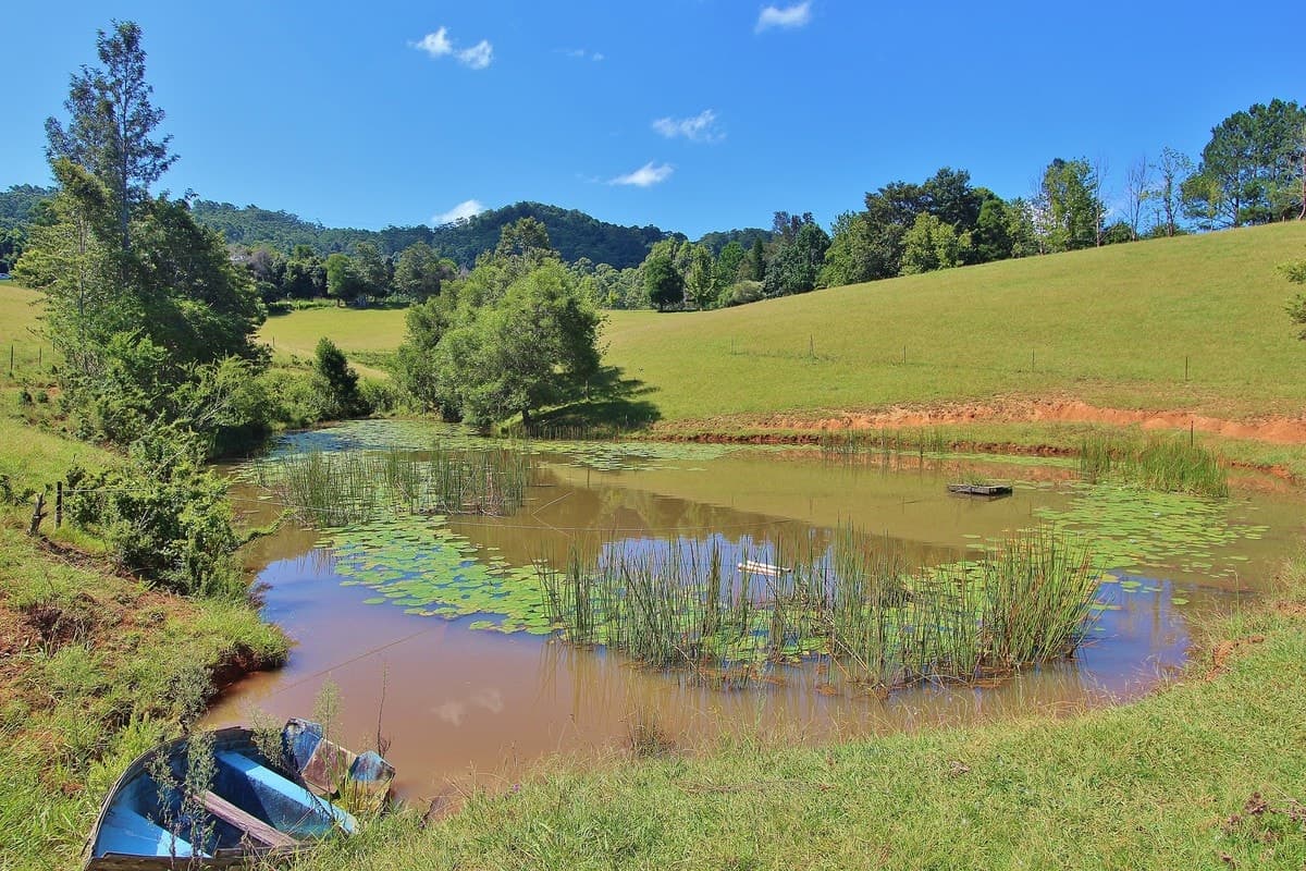 26 Cherry Tree Lane, Hannam Vale, Hannam Vale - Image 1