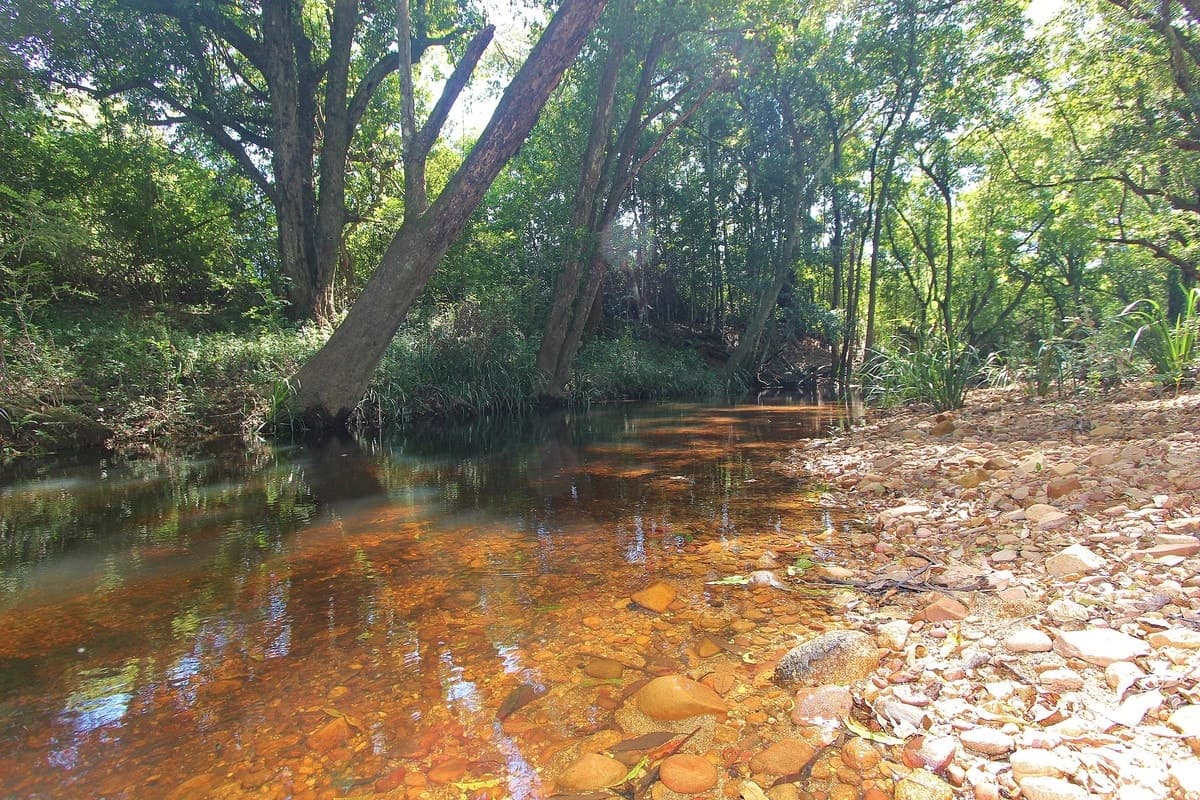 26 Cherry Tree Lane, Hannam Vale, Hannam Vale - Thumbnail 4