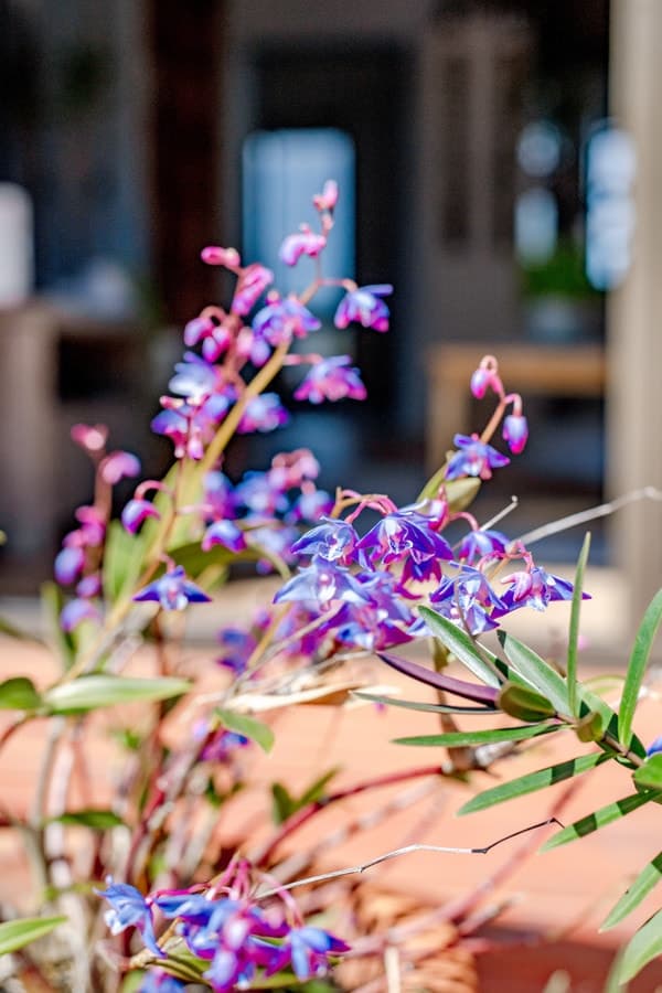 2/10 Quondola Street, Pambula - Thumbnail 3