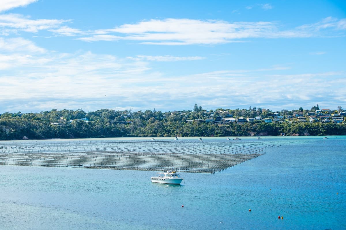 19/16-18 Ocean View Avenue, Merimbula - Thumbnail 4