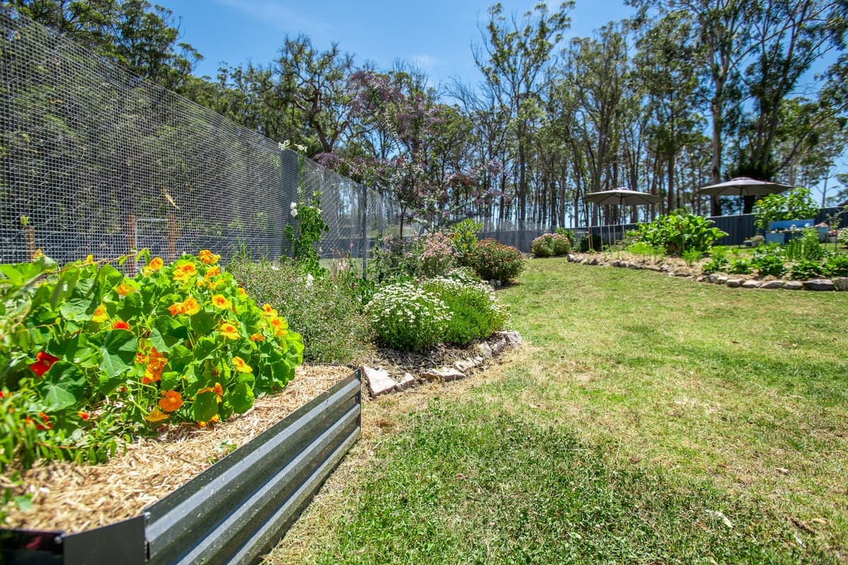 37 Kurrajong Crescent, Kalaru - Thumbnail 4