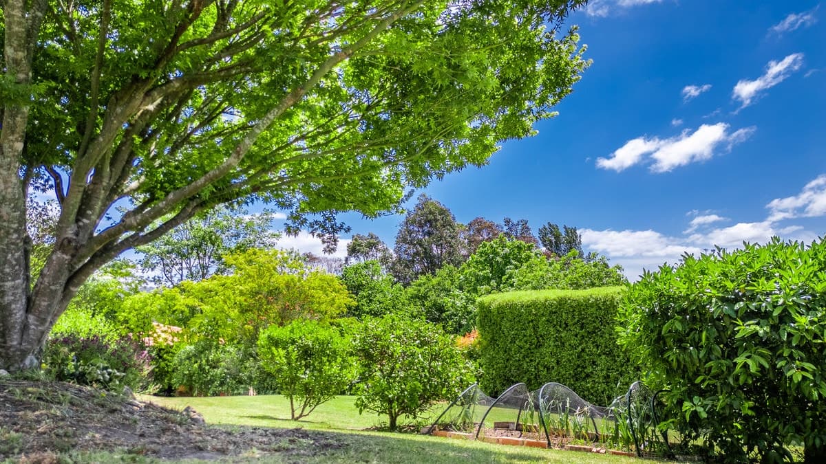 25 Northview Drive, South Pambula - Thumbnail 6