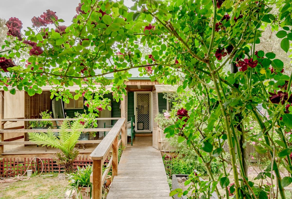 15 Sharpe Street, Candelo - Thumbnail 3