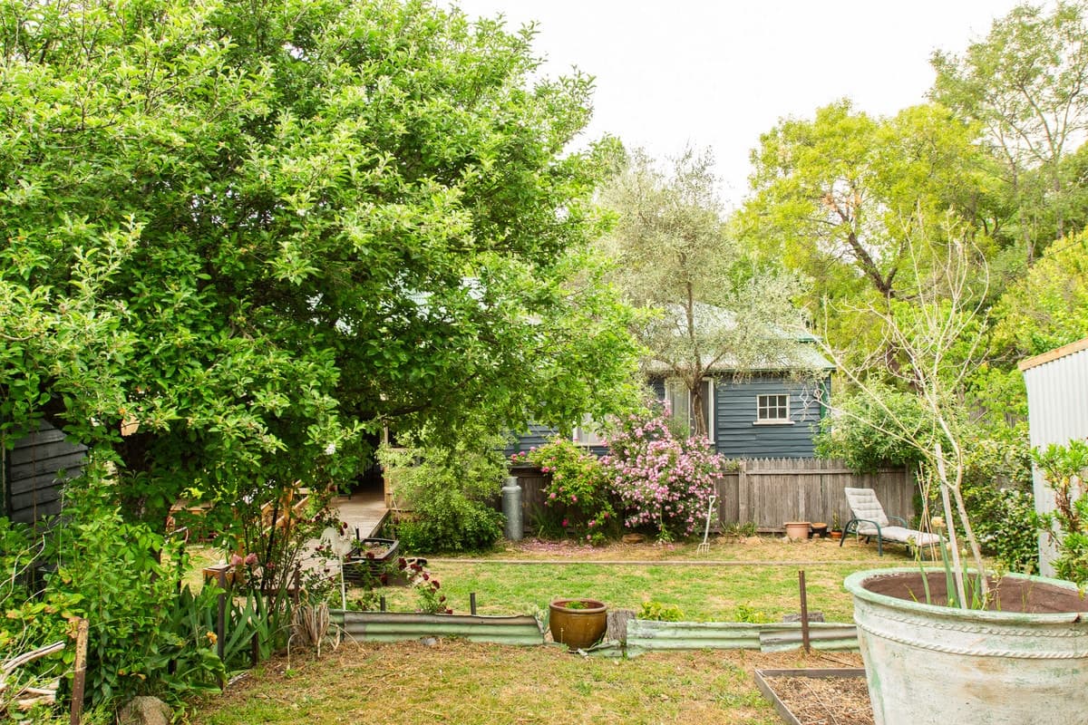 15 Sharpe Street, Candelo - Thumbnail 4