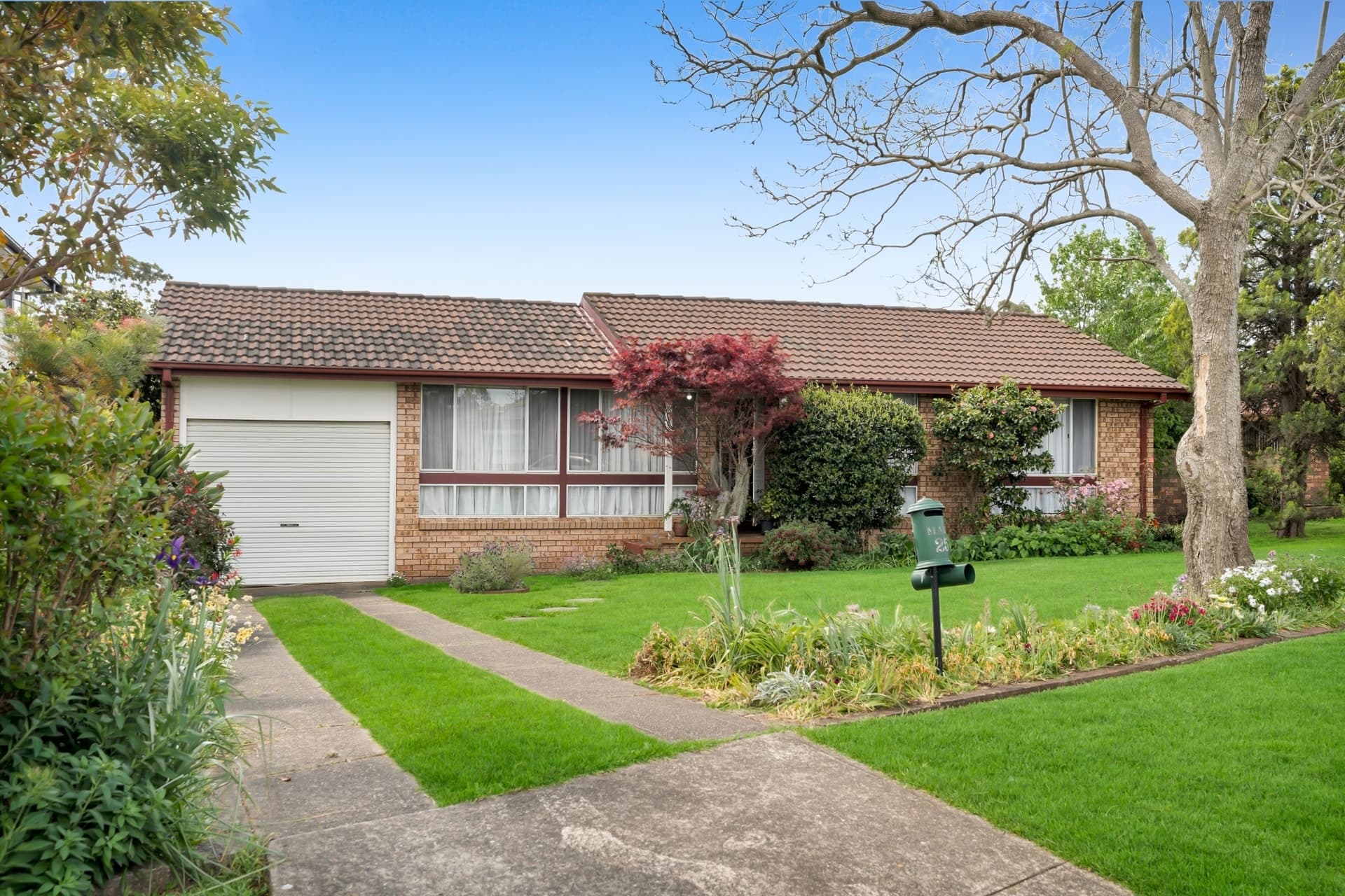 25 Longhurst Road, Minto, NSW 2566, Minto - Image 1