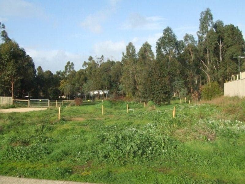 25 Patricia Court MOUNT GAMBIER SA, Mount Gambier - Image 1
