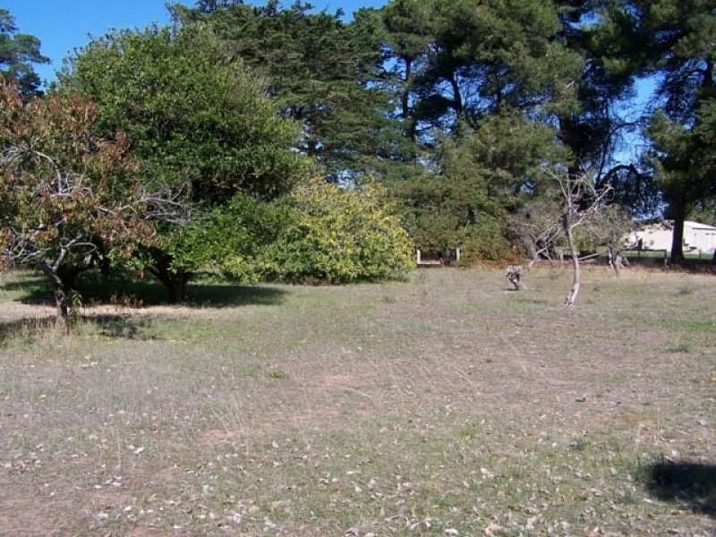 Lot 3 Boandik Drive MILLICENT SA, Millicent - Image 1